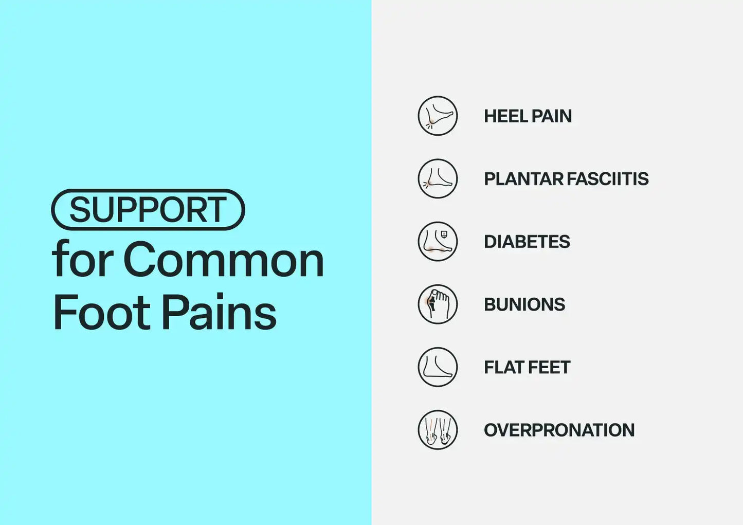 Asheville - Chocolate